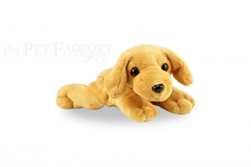 Kuschel Hunde